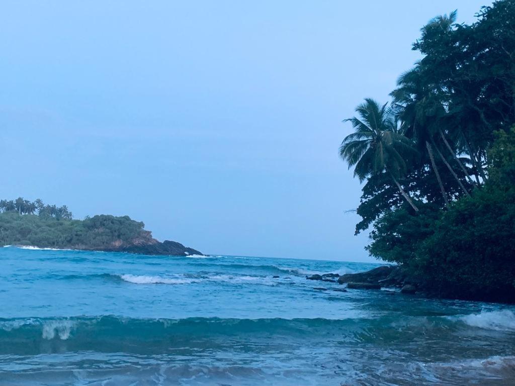 Surf Villa Hiriketiya Matara Bagian luar foto